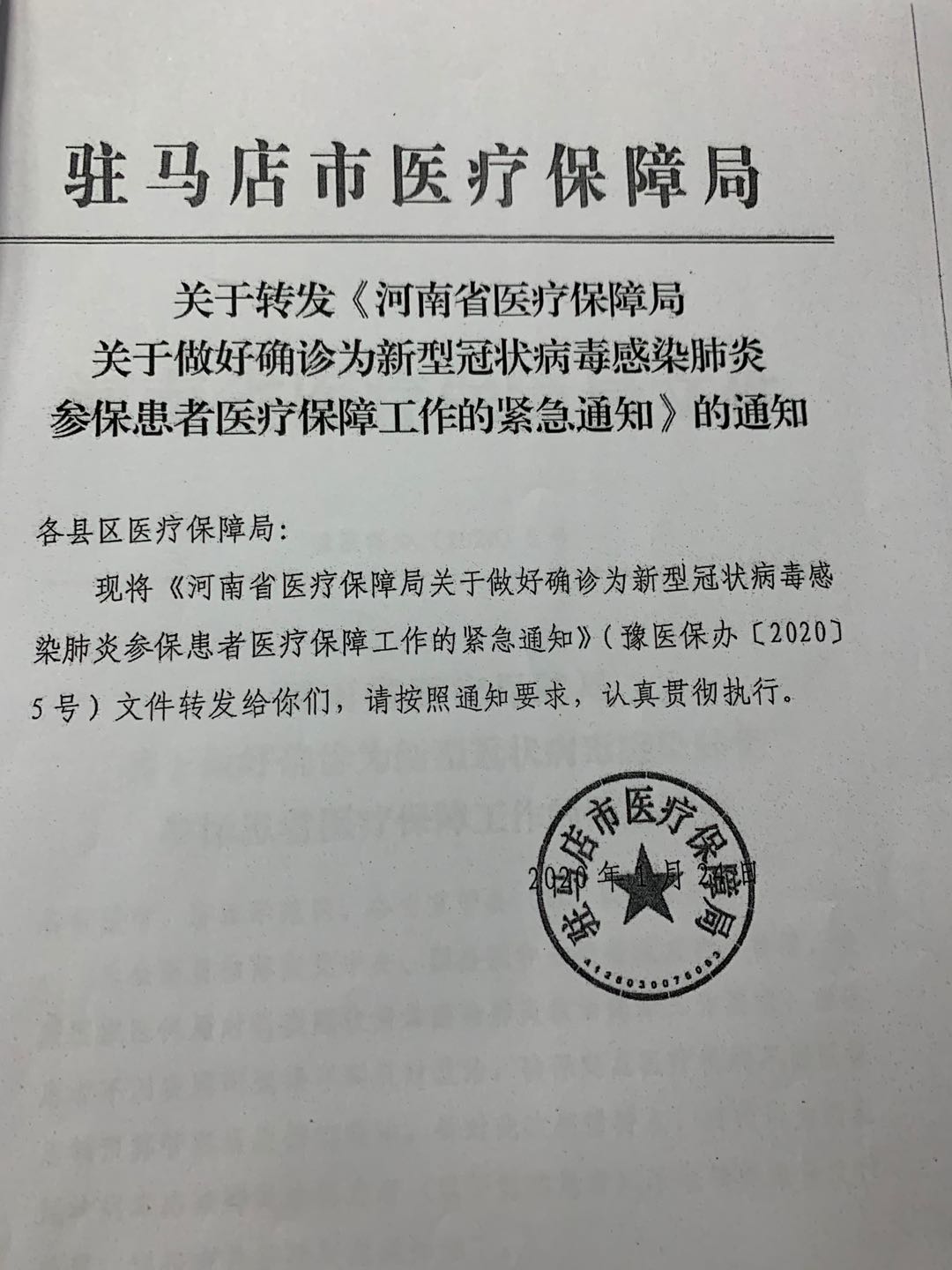 镇平县医疗保障局人事任命动态深度解析