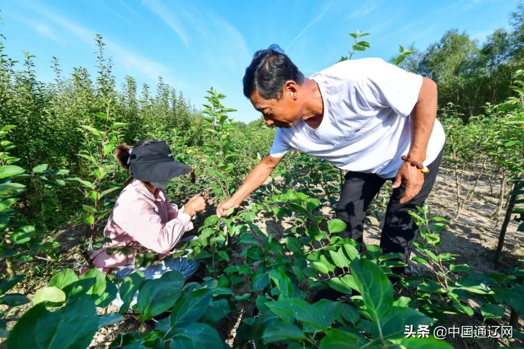 莫力庙苏木乡最新交通动态报道