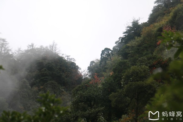 寒月林场最新天气预报及其影响分析