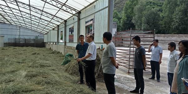 西固区农业农村局新项目推动农业现代化助力乡村振兴