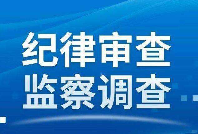 安居区司法局最新新闻动态深度解析