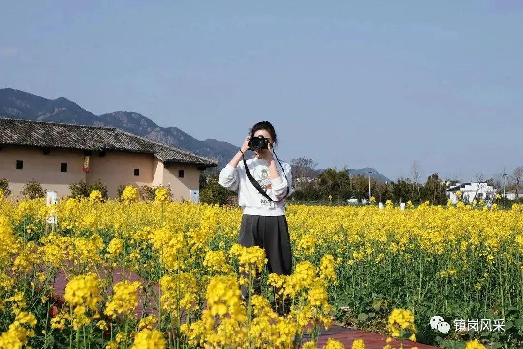 安远乡未来繁荣引领计划，塑造乡村新面貌的发展蓝图