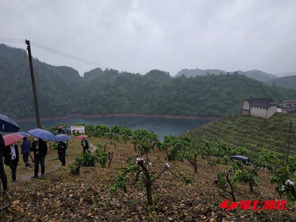 柑子园乡天气预报更新及影响分析