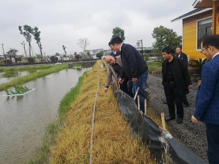 姜家山乡新项目引领乡村振兴新篇章