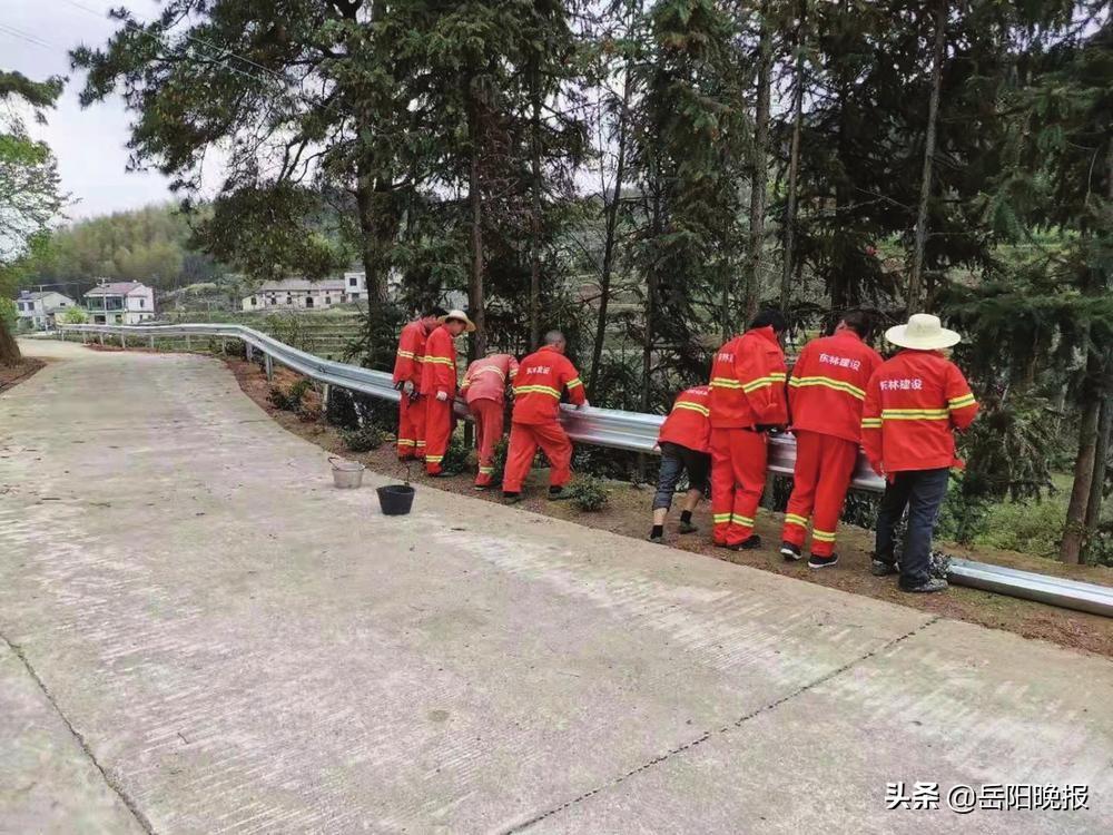 荣家湾镇交通升级助力地方发展最新报道