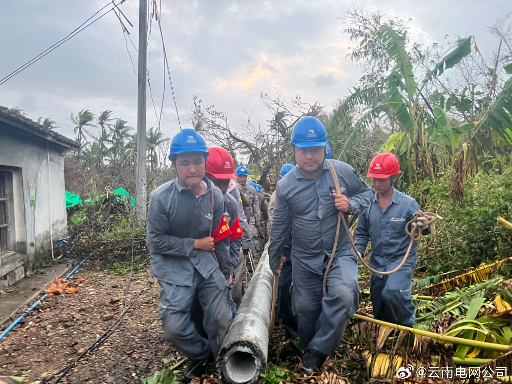 西双版纳傣族自治州市供电局最新项目概览与动态分析