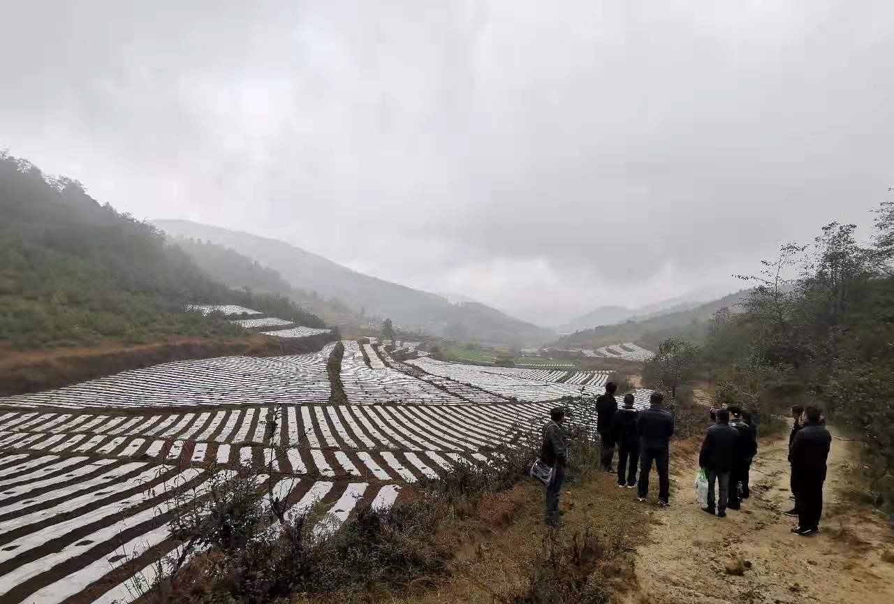 插甸乡交通新动态，道路改造升级与设施完善