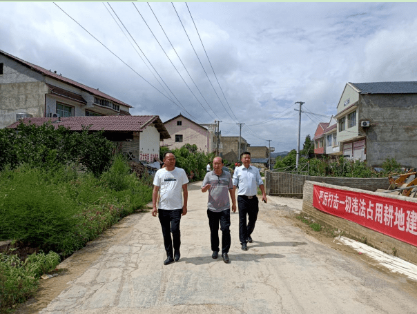 吴营村委会交通新闻更新，提升乡村通达能力，共建美好出行环境