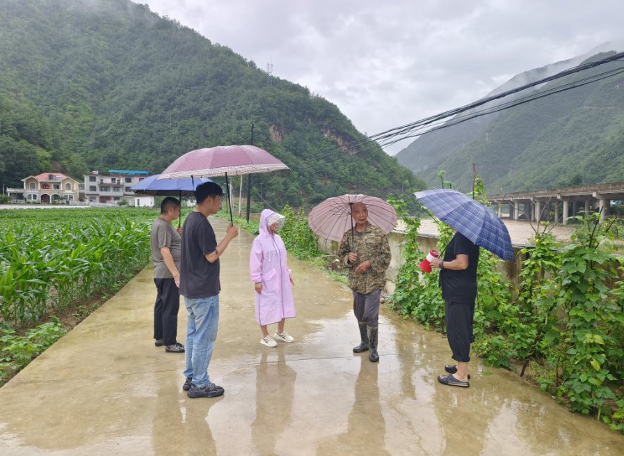 杏洼村委会领导团队，引领村庄新时代的先锋力量