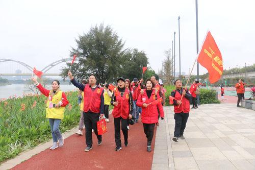 凉山彝族自治州南宁日报社最新项目，探索与发展展望