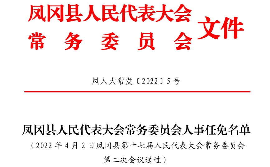 凤城市人民政府办公室人事任命公告