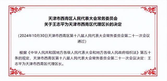 武清区开发区虚拟街道人事任命动态深度解析