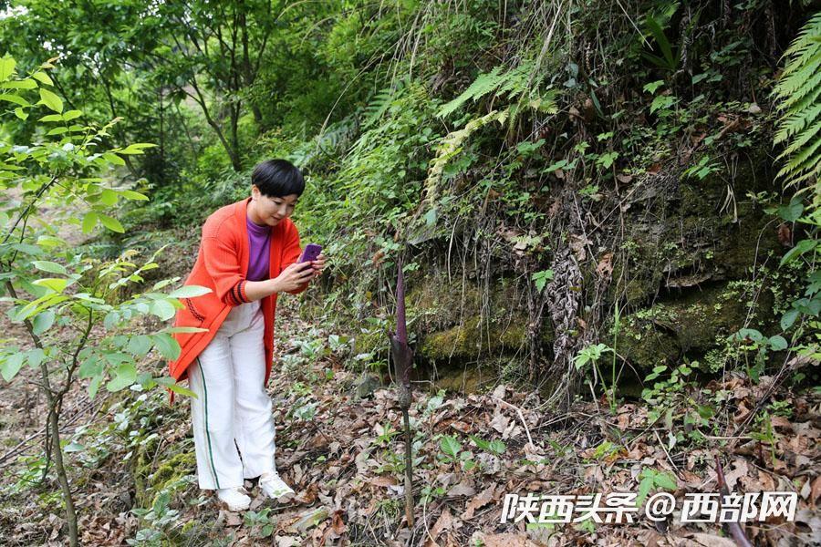 岚皋县初中教育革新与学生发展最新动态纪实