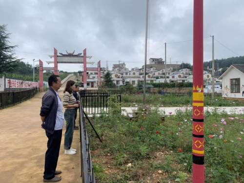 鸡街镇新项目，地区发展的强大引擎启动点