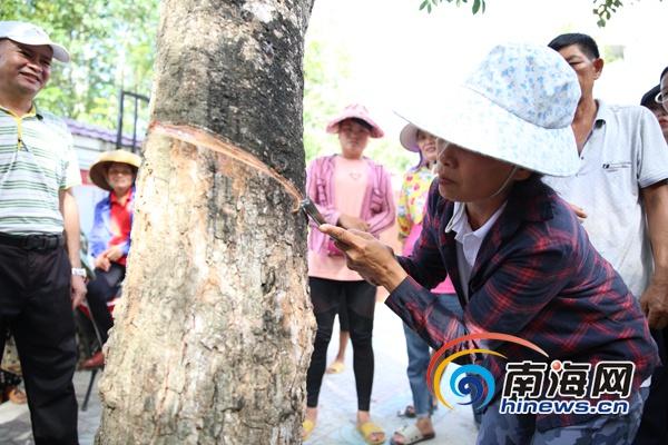 乐东黎族自治县特殊教育事业单位发展规划深度解析