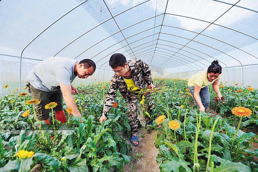 马堤乡最新项目，乡村振兴新动力重磅来袭