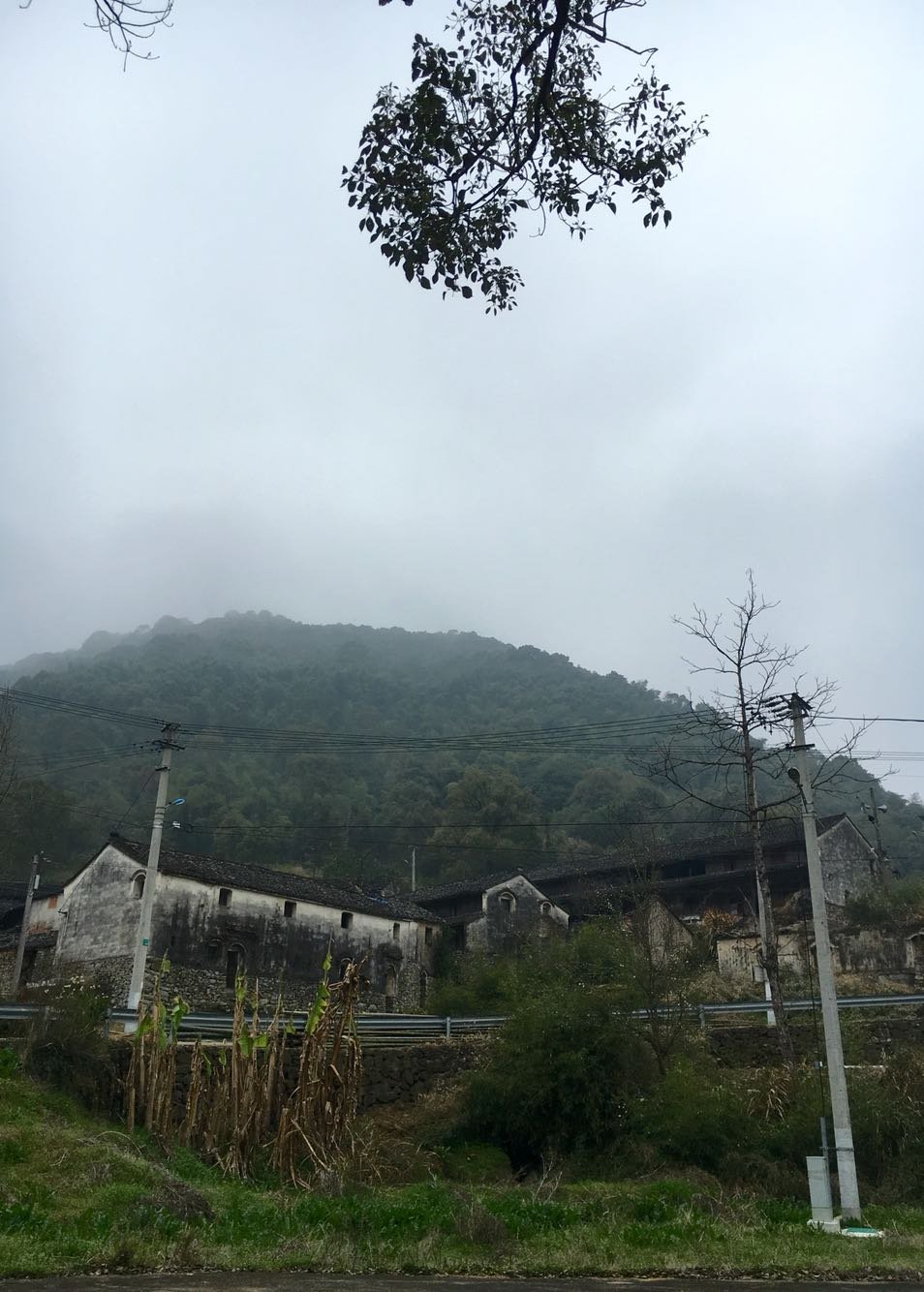 天源村天气预报更新通知