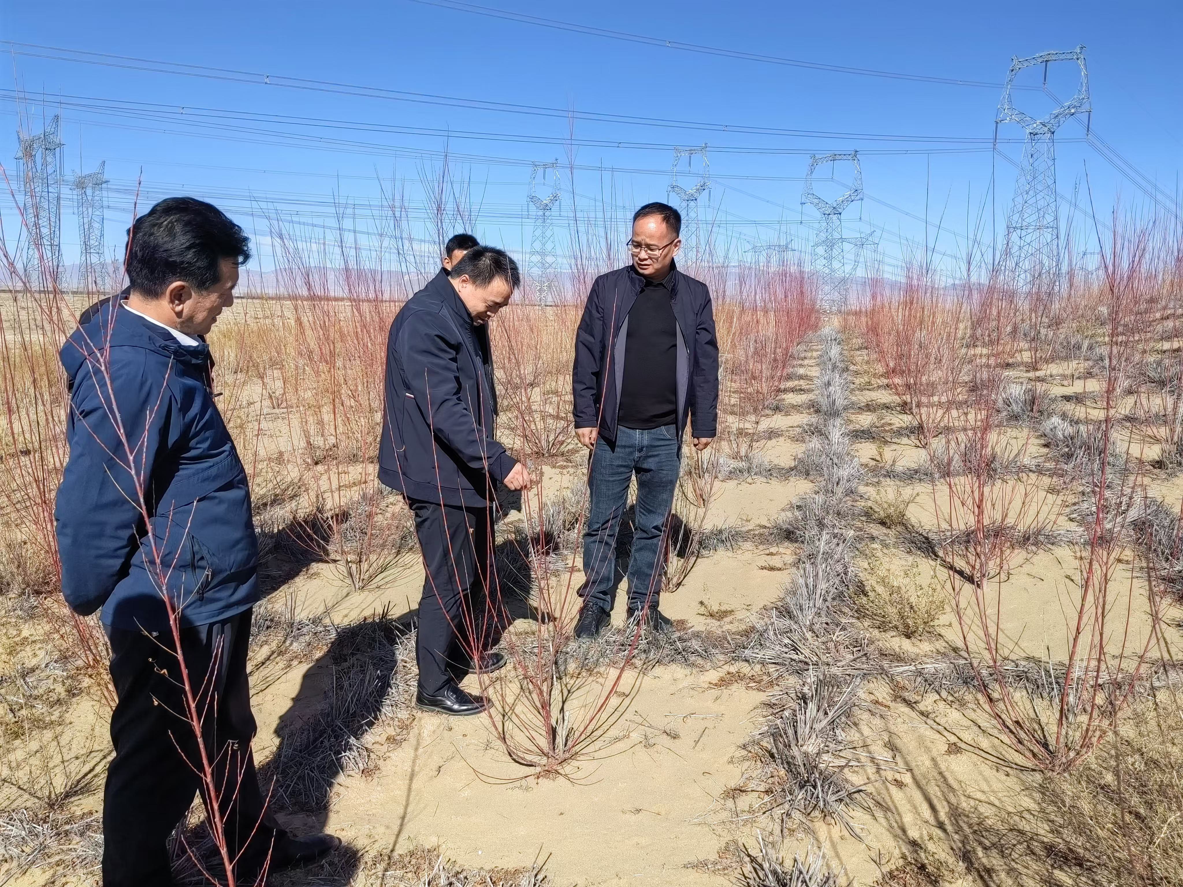 海西蒙古族藏族自治州园林管理局最新新闻概览发布