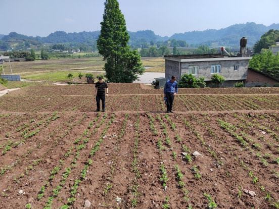 青浦区农业农村局新项目引领乡村振兴新篇章启动