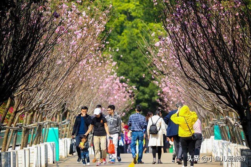 深圳市观澜湖休闲旅游区最新开放时间详解