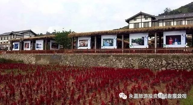 普济寺村民委员会最新项目概览与进展