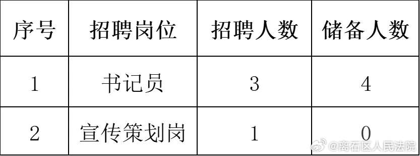 林西县审计局最新招聘启事