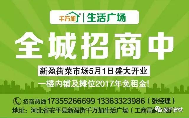 芗城区人力资源和社会保障局最新招聘概览