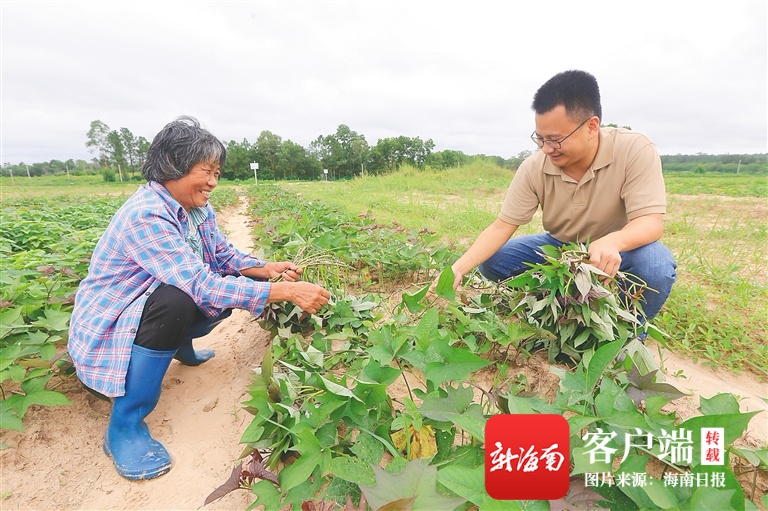 白堆村最新动态报道