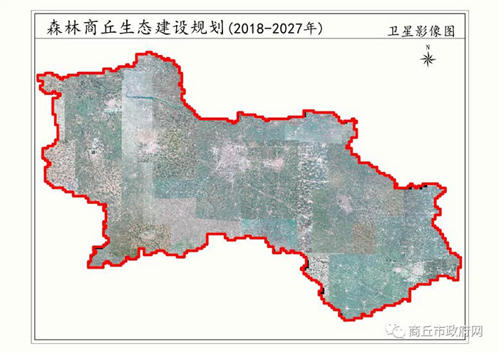 商丘市林业局最新发展规划深度解析