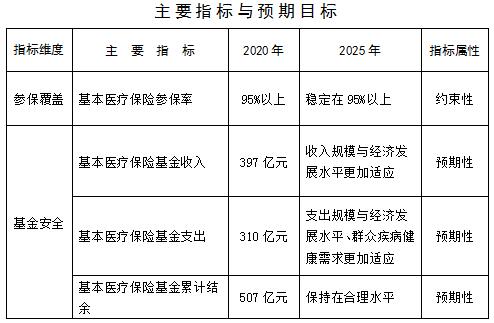 滴道区医疗保障局未来发展规划展望