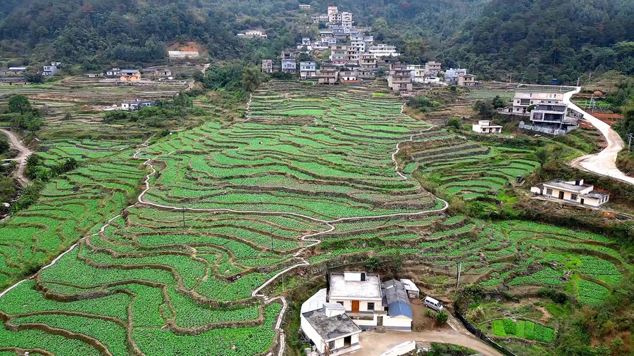 插旗山村天气预报更新及其影响分析