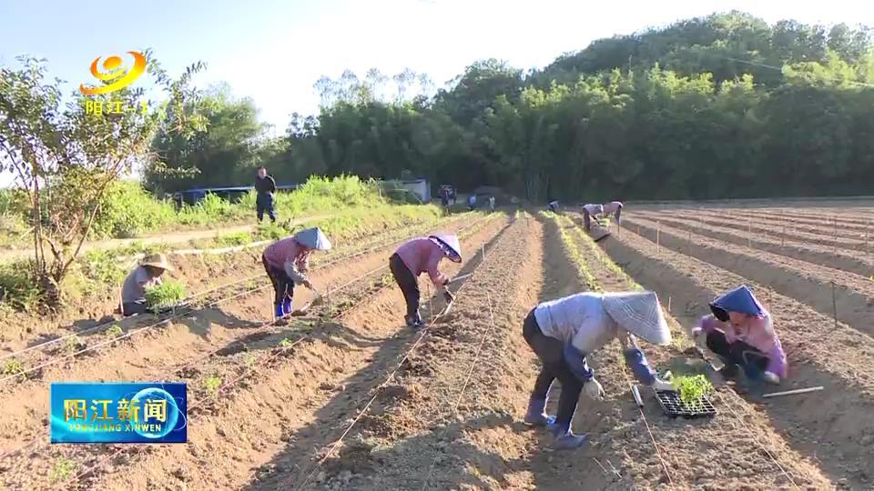 阳江市邮政局领导团队最新概览