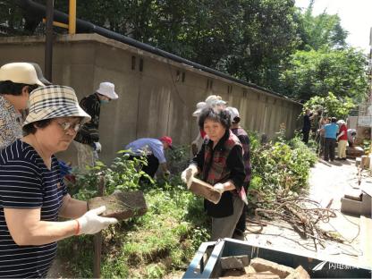 营市街街道最新发展规划，塑造未来城市新面貌蓝图