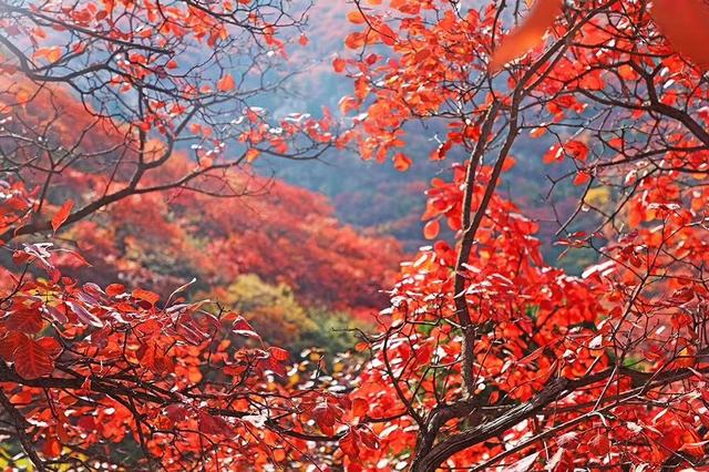 培石乡交通新动态，发展助力乡村振兴