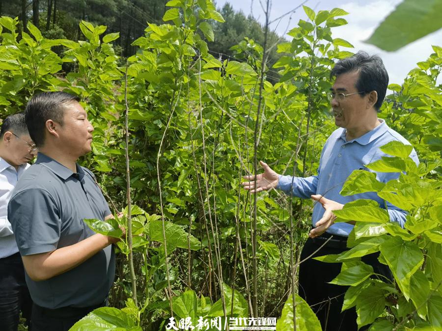 赫章县审计局最新招聘信息，开启职业新篇章之门