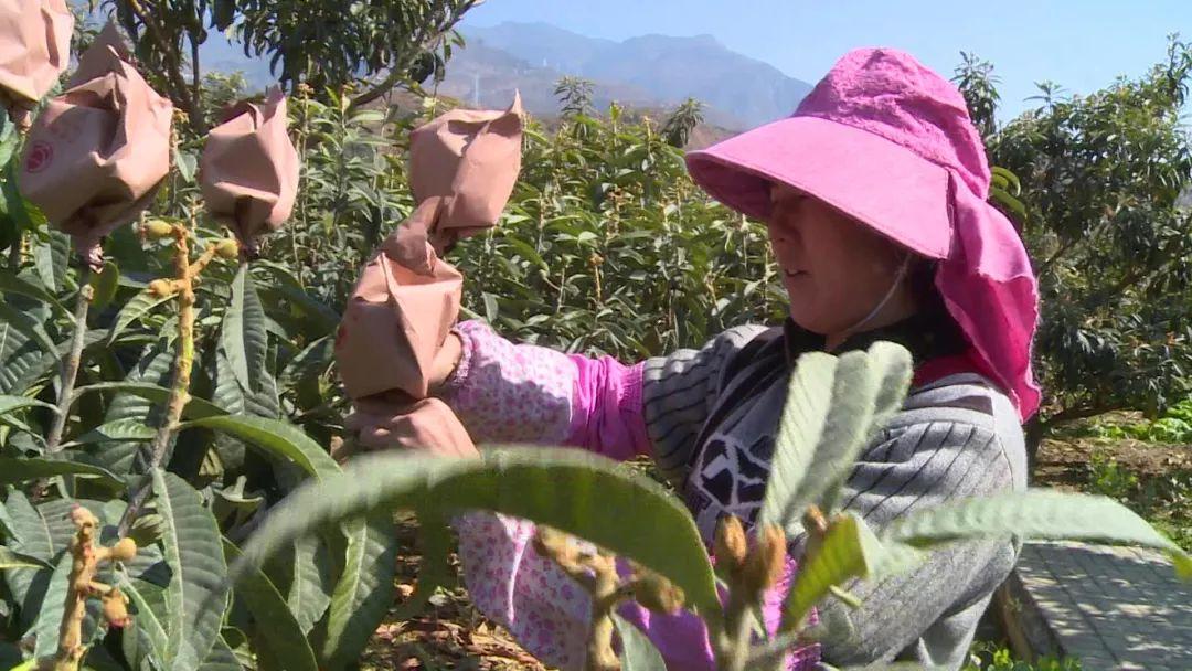 唐家村繁荣进步蓝图，最新发展规划揭秘