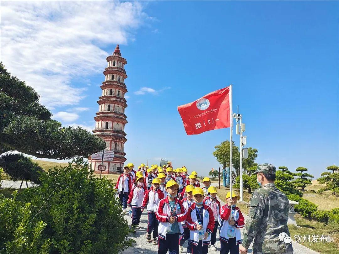 钦南区交通运输局招聘启事概览