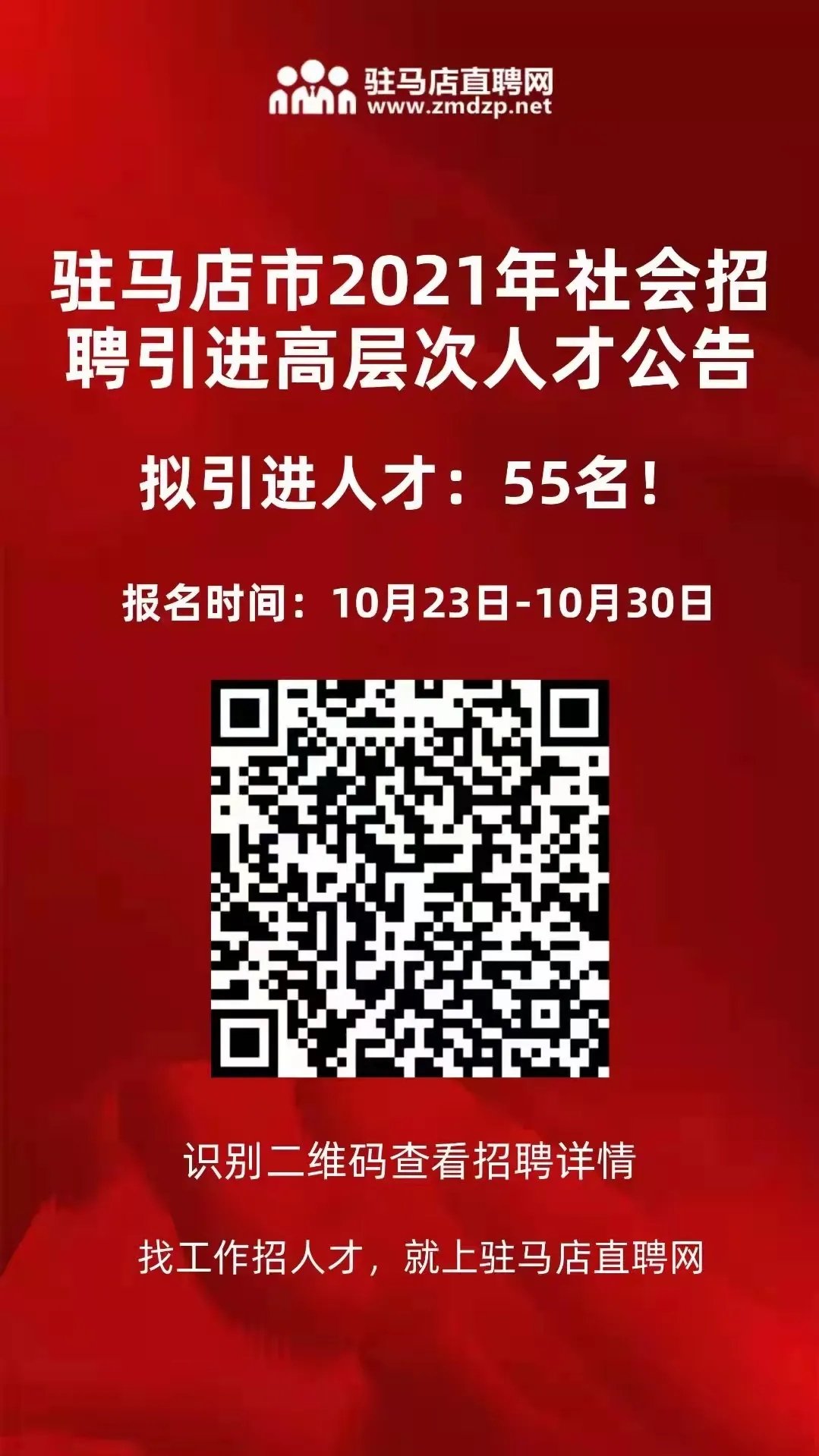 驻马店市共青团市委最新招聘信息深度解析