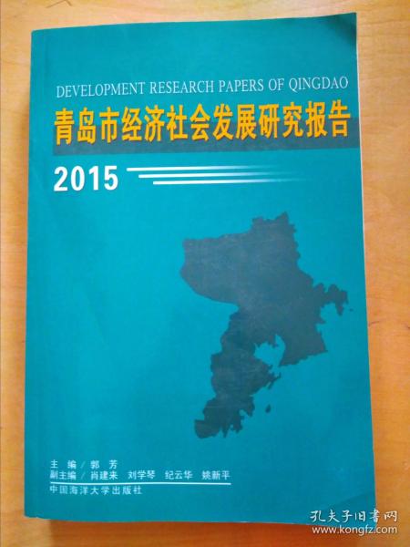 青岛市城市社会经济调查队最新发展规划深度解析