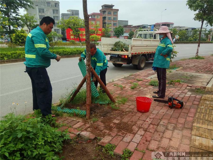 梧州市市政管理局新领导团队任命，开启新篇章