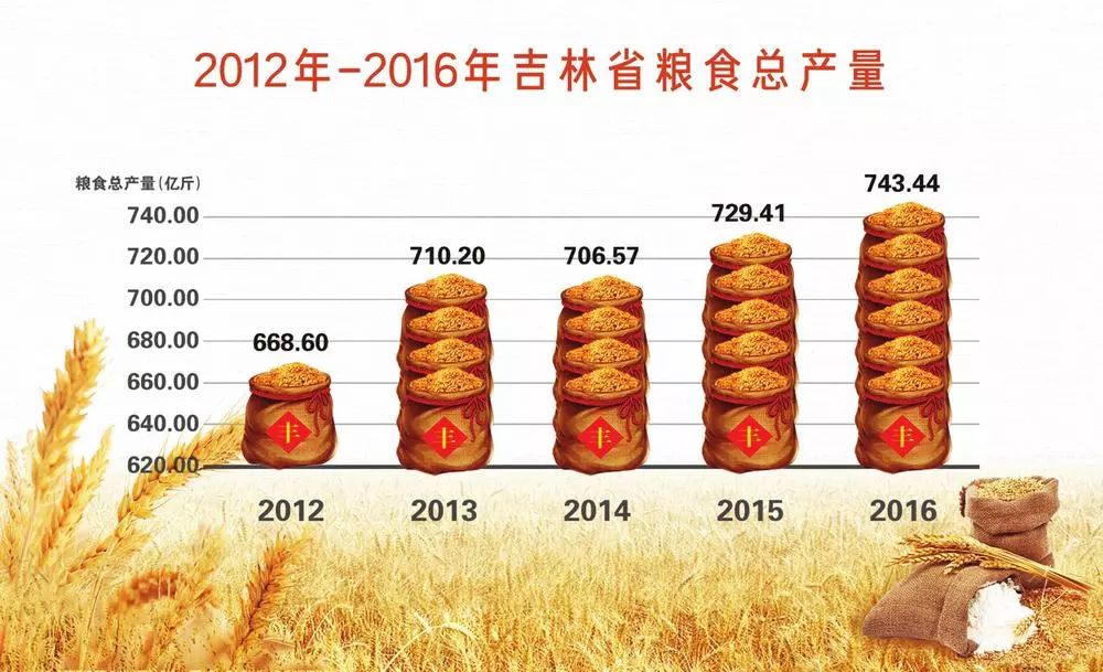 吉林市粮食局最新发展规划概览