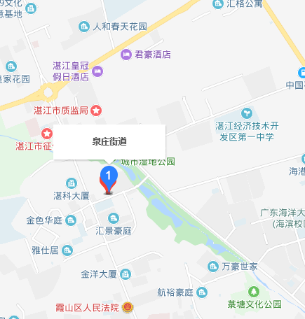 泉庄街道办事处（湛江开发区）最新项目概览介绍