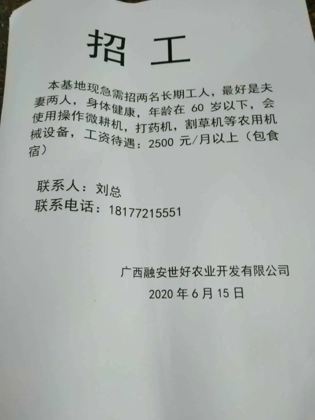 龙果村最新招聘信息发布