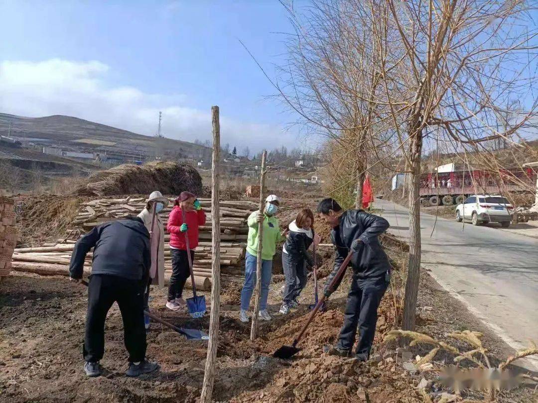 蒲麻镇最新新闻概览，全面解读当地动态与热点事件