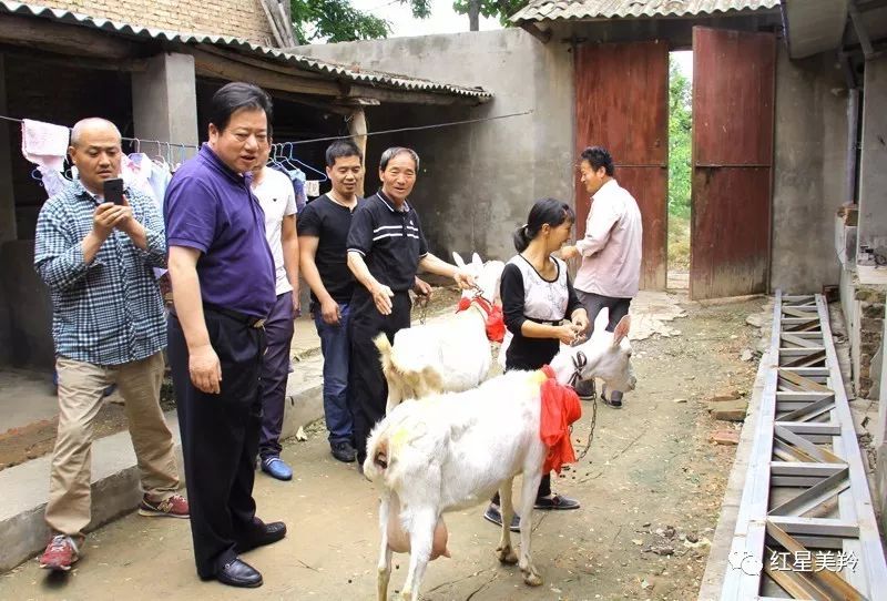 红旗奶山羊场新任领导团队引领牧场未来发展之路