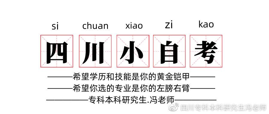 西华县人民政府办公室最新项目概览与进展