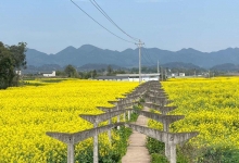 积石镇天气预报更新通知