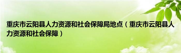 2025年3月17日 第21页