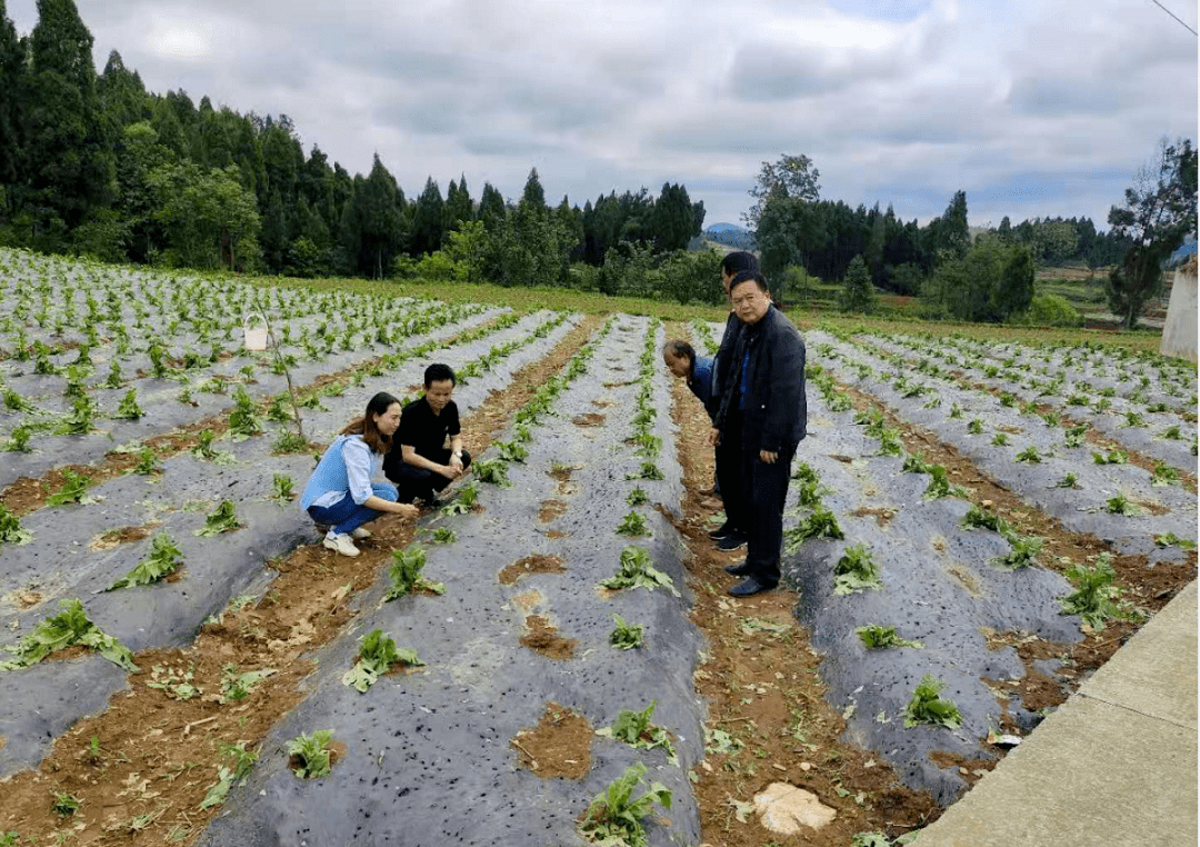 金沙县农业农村局最新招聘信息详解（一）