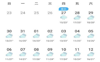 大陆街道最新天气预报概览